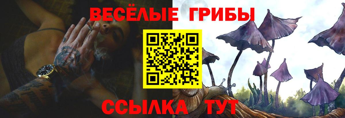 Галлюциногенные грибы мицелий Каспийск